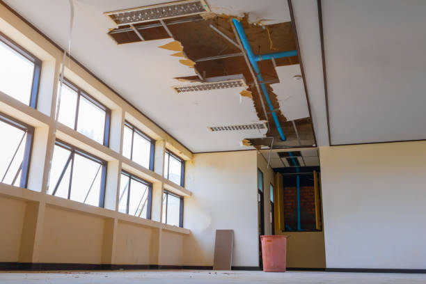 Trusted Stuarts Draft, VA Water damage restoration Experts