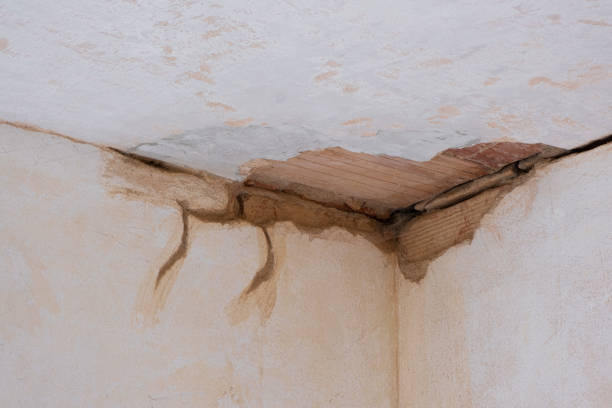 Best Water damage restoration process  in Stuarts Draft, VA
