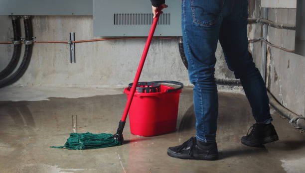 Carpet water damage restoration in Stuarts Draft, VA