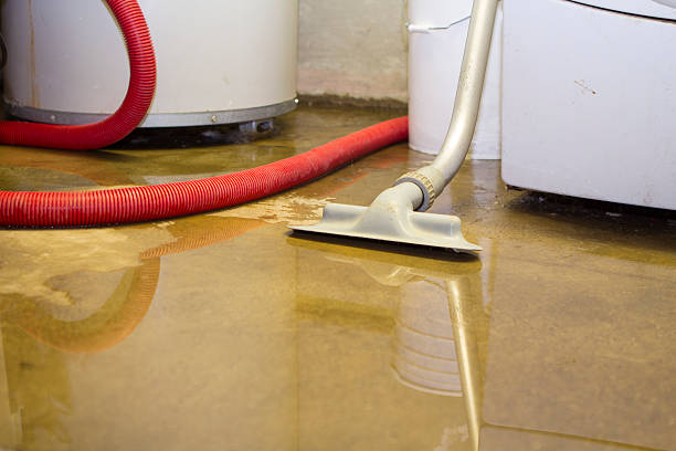 Best Emergency water damage restoration  in Stuarts Draft, VA